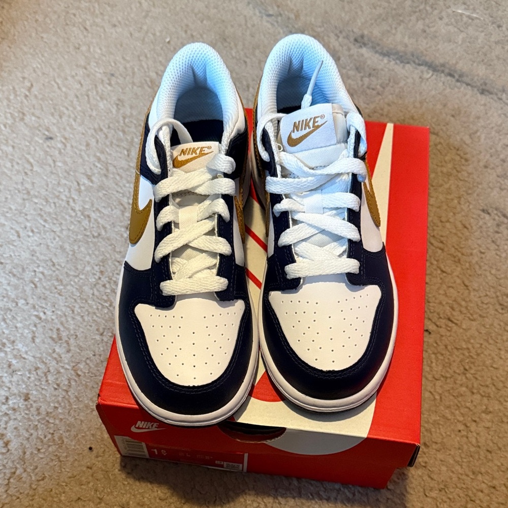 Nike Dunk Low Shoes